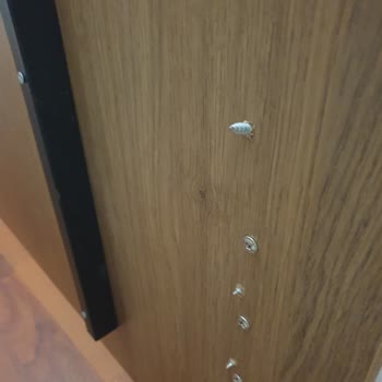 Şikayet Kelebek Mobilya Kötü Montaj