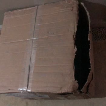 Mudo Hasarlı Kargo/Kırık Tabaklar