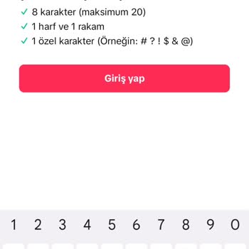 TikTok Hesap Erişim Sorunu Ve Şifre Sıfırlama Çıkmazı