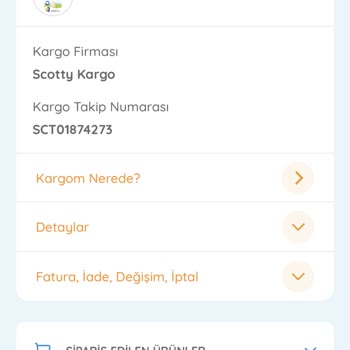 E-BEBEK & Scotty Şirketlerinin Kargo Problemi