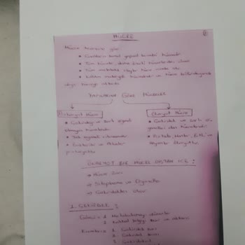 HP Hb Yazıcı Renk Sorunu