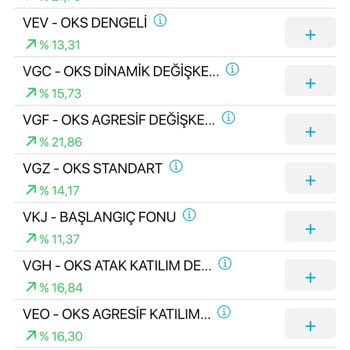 Türkiye Hayat Emeklilik Turkiye Sigorta Befas Fon Değişikliği