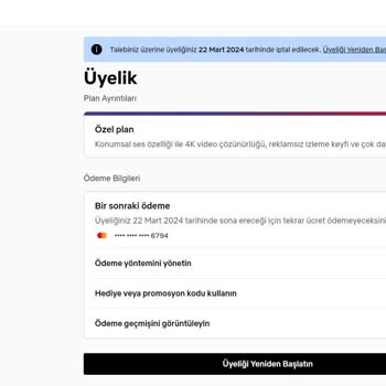Netflix Üyelik İptal Etmiyor
