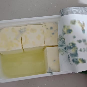 Pınar Et ve Süt Süzme Peynir Bozuk Çıktı Yardımcı Olur Musunuz