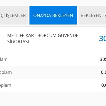 Metlife Kart Borcum Güvende