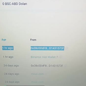 Binance Ustd'ler Benim İznim Olmadan Başka Yere Transfer Olmuş