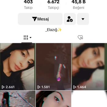 Eski TikTok Hesabıma Giremiyorum