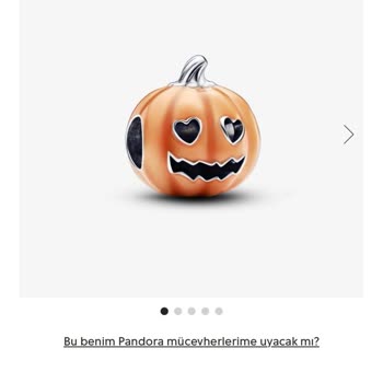 Pandoraturkeystore.com Pandora Charm Soyulması Ve İlgilenilmemesi