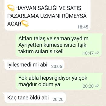 Acar Yarka Tavukçuluk Can Kaybıyla Sonuçlanan Hayvan Siparişi Ve Mağduriyetim