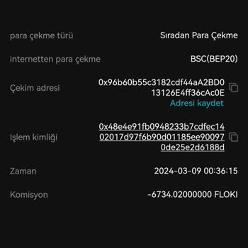 Bitexen 12 Gün Oldu. Daha Ne Kadar Sürecek?