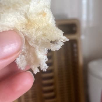 Afiyet Fırın (Ankara) Ekmek İçinde Sinek Çıktı