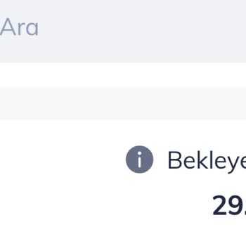Dyson Sipariş Aşamasında Site Hatası