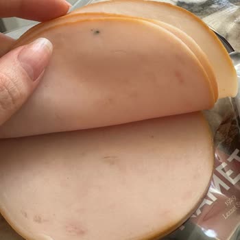 Namet Hindi Füme İçerisinden Böcek Çıktı