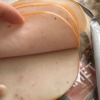 Namet Hindi Füme İçerisinden Böcek Çıktı