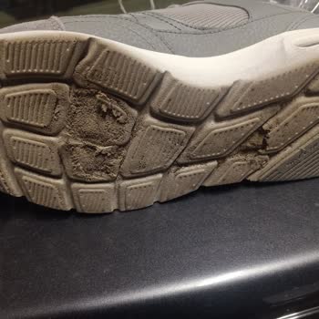 Skechers Ayakkabı Taban Sorunu