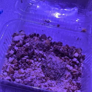 PTT Kargo Kusurlu Ve Kasıtlı Kötü Hizmet