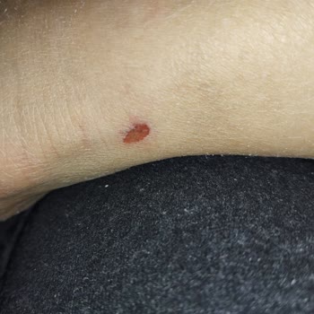 Deichmann Puma Spor Ayakkabısı