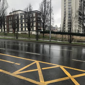 Kartal Belediyesi Yolda Ezilen Hayvanlarımızı Almıyor
