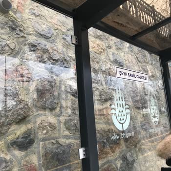 Kartal Belediyesi Yolda Ezilen Hayvanlarımızı Almıyor