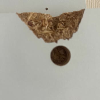 Koçtaş Online'dan Yaptığım Alışveriş Sonrası Yaşadığım Mağduriyet