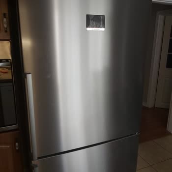 Bosch Buzdolabı Ve Delirtici Çınlama Sesi