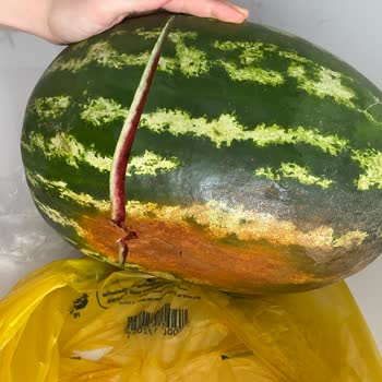 Cepte Şok Ürün İade Alıp Ücretini Ödemiyor