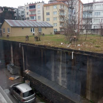 Giresun Belediyesi Temiz Olalım Mahalle Temizliği