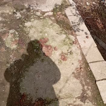 İBB - İstanbul Büyükşehir Belediyesi Hayatı Tehlikem Var!