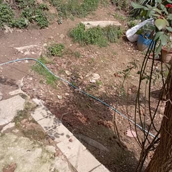 İBB - İstanbul Büyükşehir Belediyesi Hayatı Tehlikem Var!