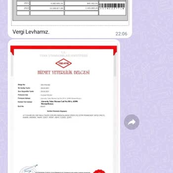 Leyan Butik (Butikleyan) Online Alışverişte Yaşanan Sorunlar Ve Çözüm Önerileri