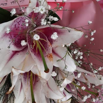 Getirçarşı Solmuş Çiçek Gönderiyor