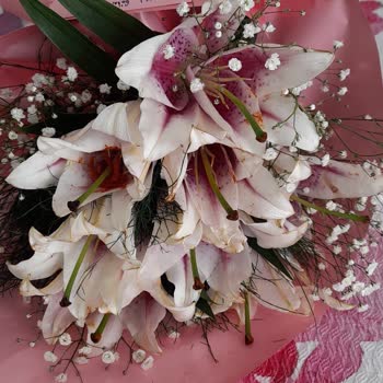 Getirçarşı Solmuş Çiçek Gönderiyor