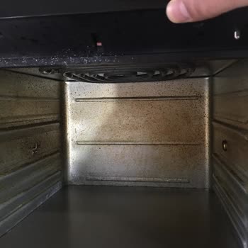 Kiwi Home Yancı Dolan Kiwi