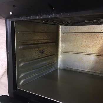 Kiwi Home Yancı Dolan Kiwi