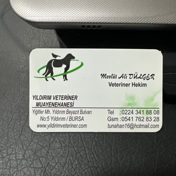 Yıldırım Veteriner (Bursa) Yanlış Tedavi Fahiş Fiyat