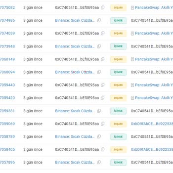PancakeSwap (Scam) Aldatıcı Coin Satışına İzin Verdiği İçin Şikayetçiyim!
