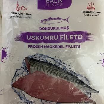 Balık Dünyası İçinden Çıkan Şey