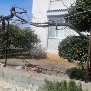 Antalya Büyükşehir Belediyesi Mağduriyetimin Giderilmesi Yolumun Açılması