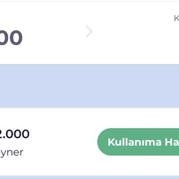 Multinet Multiflex Kodu Kullanım Sorunu - Bakiye Sıfırlandı