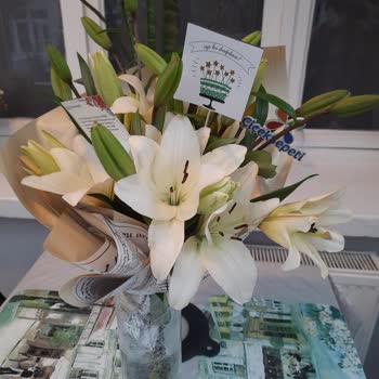 ÇiçekSepeti Kokmayan Lilyum Çiçeği