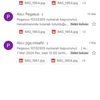 Pegasus Süreçleri Yok Sayması Bavulları Kırması