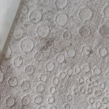 Dikmen Halı Ve Koltuk Yıkama Sürekli Ertelediler