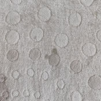 Dikmen Halı Ve Koltuk Yıkama Sürekli Ertelediler