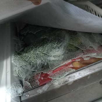 Arçelik Buzdolabı Cam Patladı