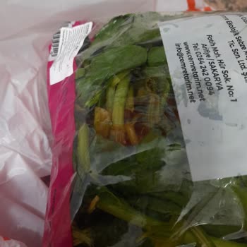 Migros Taze Beklentisi Hayal Kırıklığına Dönüştü