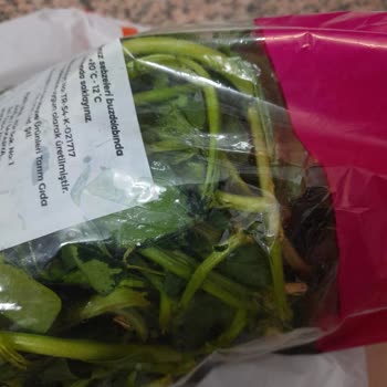 Migros Taze Beklentisi Hayal Kırıklığına Dönüştü