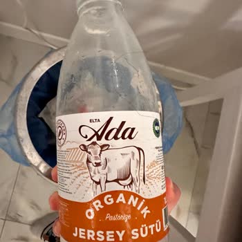 Elta Ada Organik Ürünler Elta Ada Jersey Süt İle Mayaladığım Yoğurtlar Kesiliyor