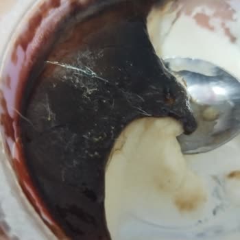 Eker Süt Ürünleri
