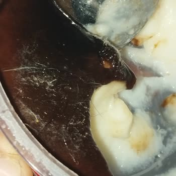 Eker Süt Ürünleri