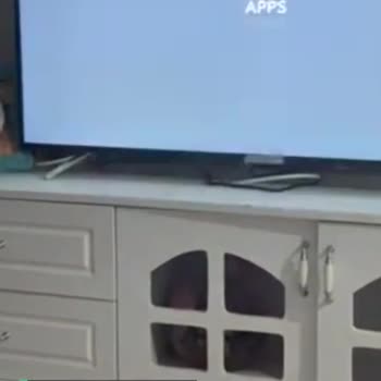 Onvo Apps Sorunu Var, Televizyonu Kullanamıyoruz!